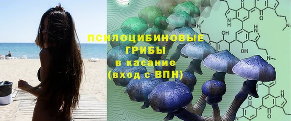 первитин Богданович