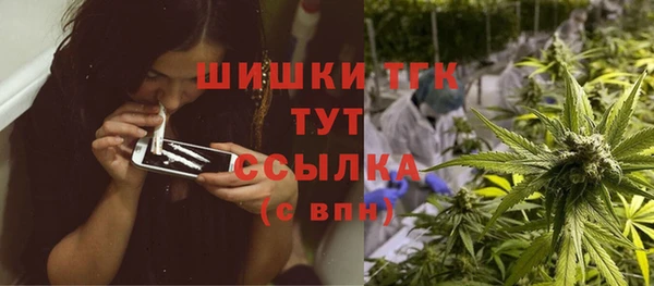 первитин Богданович