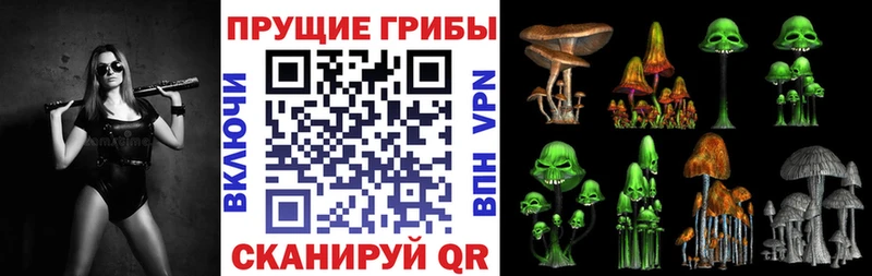 Псилоцибиновые грибы GOLDEN TEACHER Обь